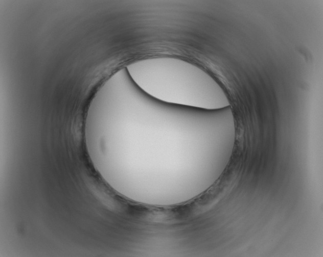 X0000114190402200910091032