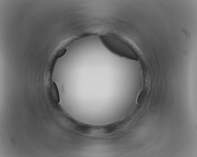 X0000114190403200910091032