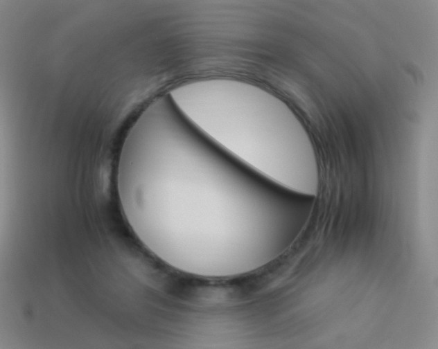 X0000114190404200910091032
