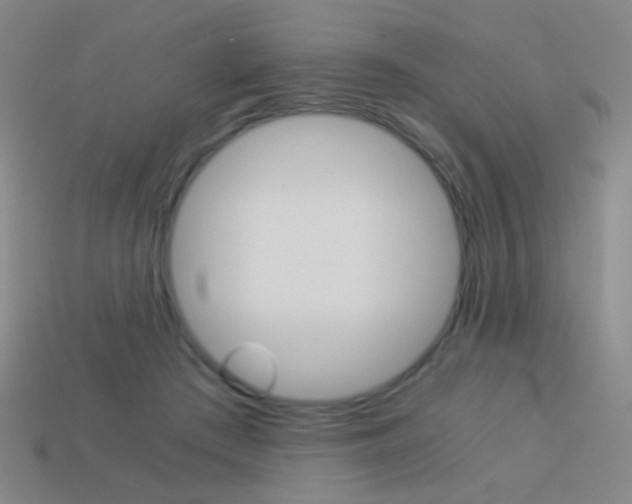 X0000114190409200910091032