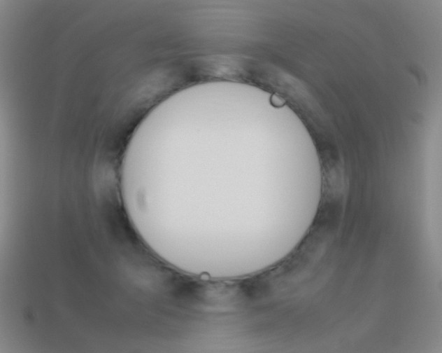 X0000114190415200910091032