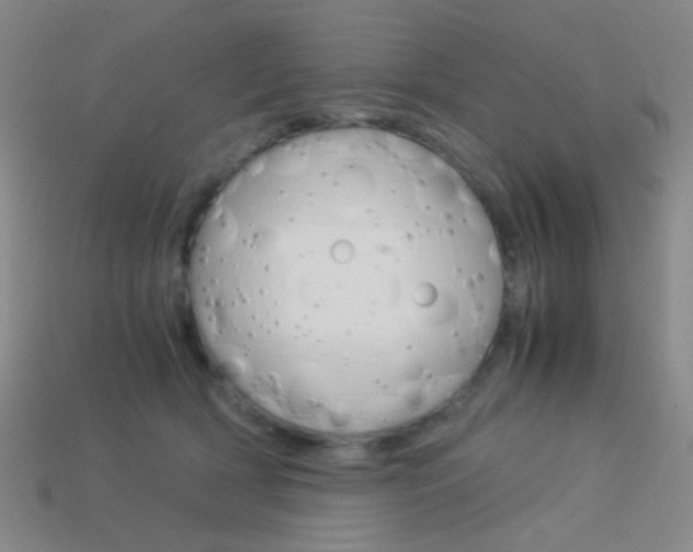 X0000114190418200910091032