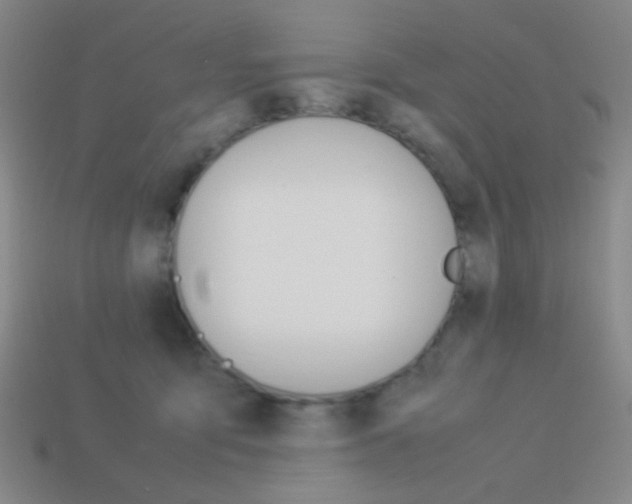 X0000114190419200910091032