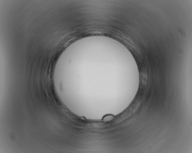 X0000114190422200910091032