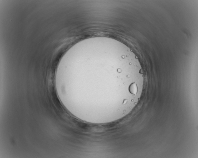X0000114190423200910091032