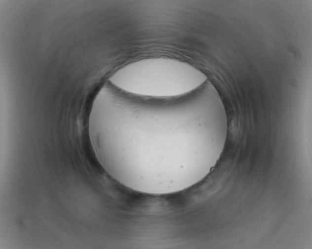 X0000114190424200910091032