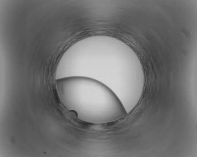 X0000114190425200910091032