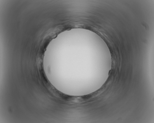 X0000114190427200910091032