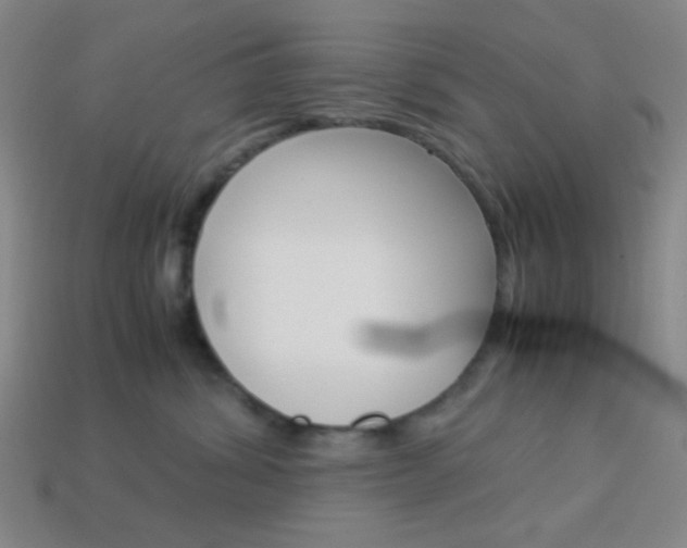 X0000114190428200910091032