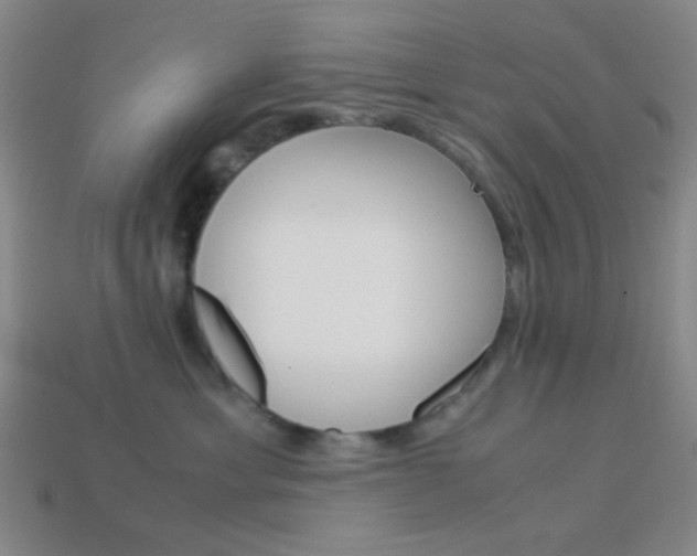 X0000114190429200910091032