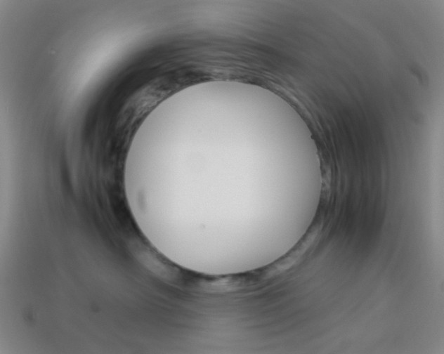 X0000114190430200910091032