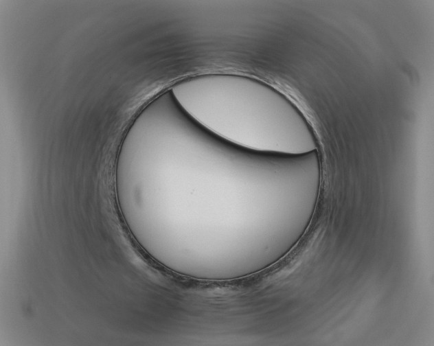 X0000114190433200910091031