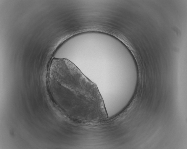 X0000114190434200910091031