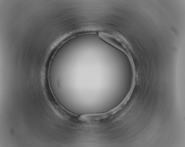 X0000114190436200910091031
