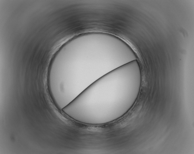 X0000114190437200910091031