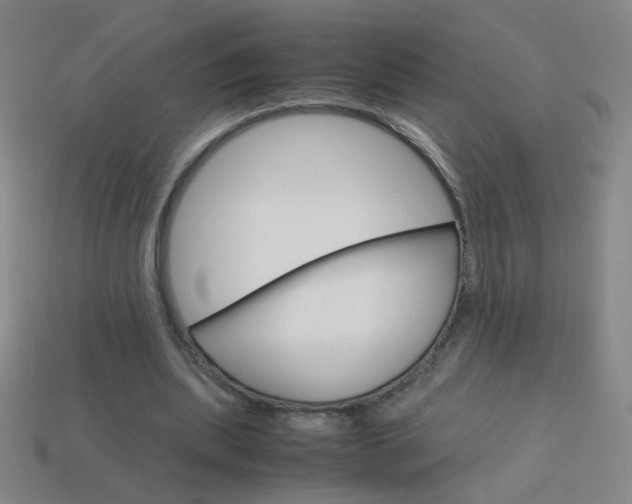 X0000114190439200910091031