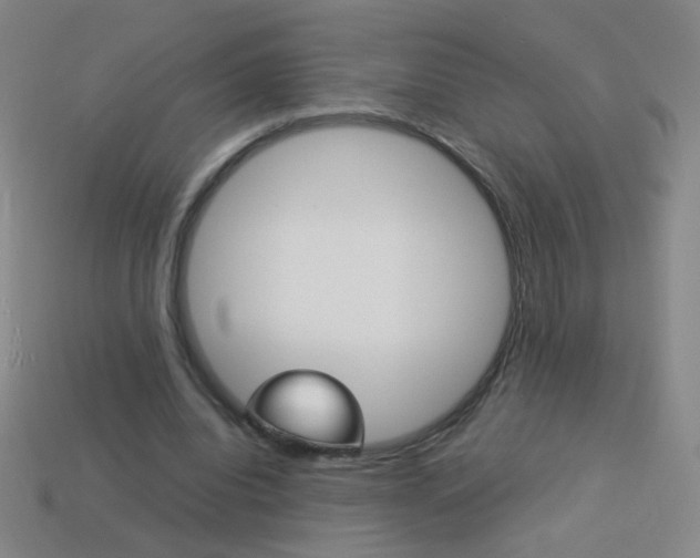 X0000114190440200910091031