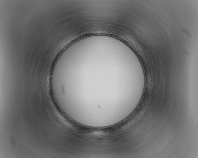 X0000114190441200910091031