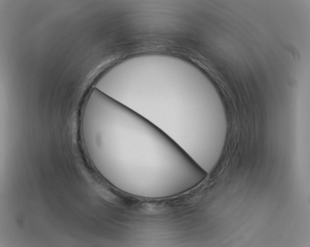 X0000114190442200910091031