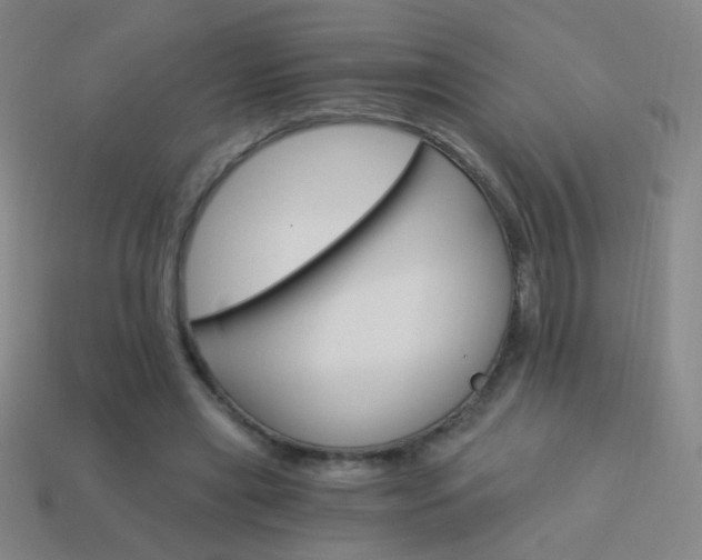 X0000114190445200910091031