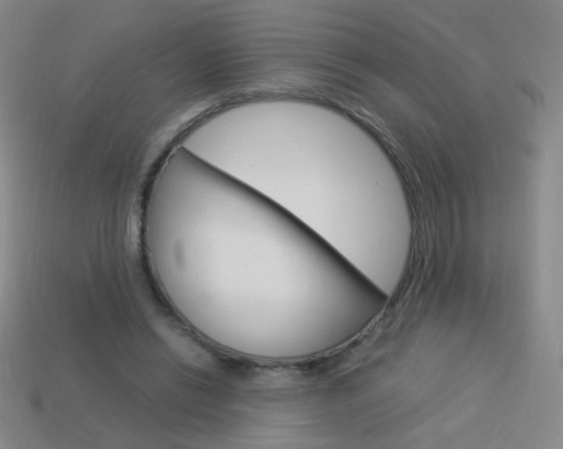 X0000114190446200910091031