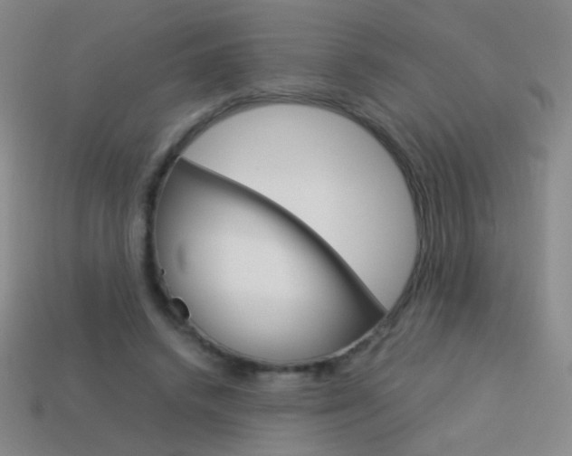 X0000114190448200910091031
