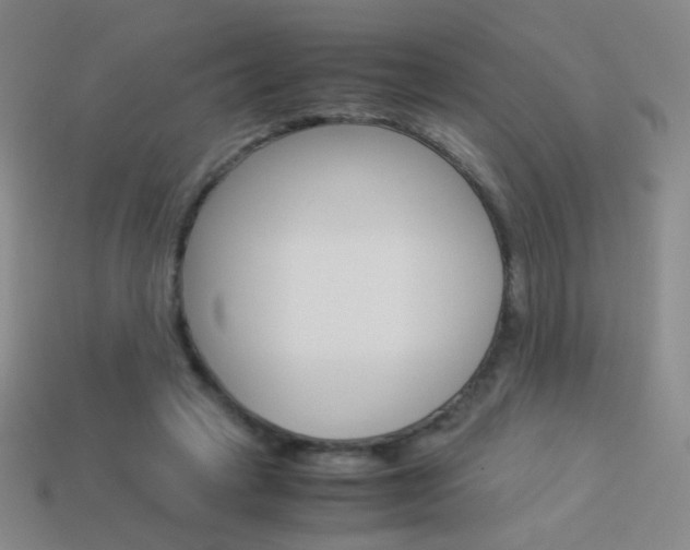X0000114190449200910091031
