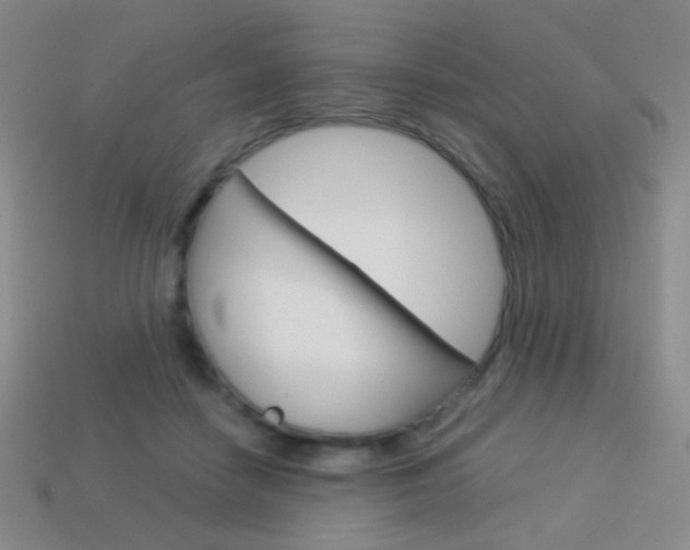 X0000114190458200910091032
