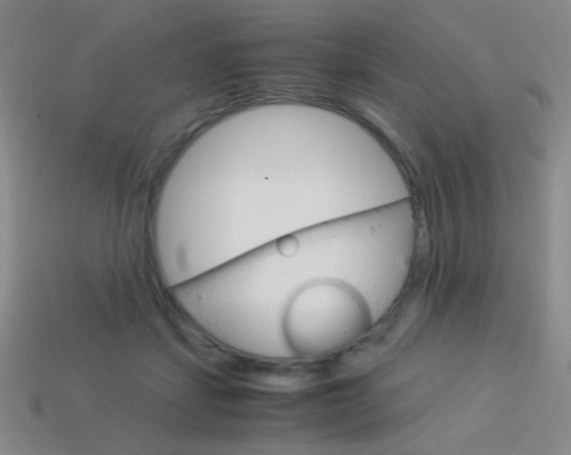 X0000114190459200910091032