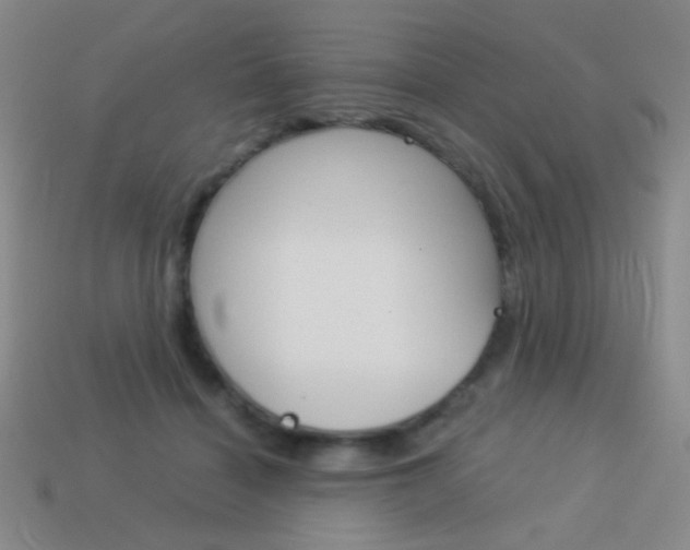 X0000114190460200910091032