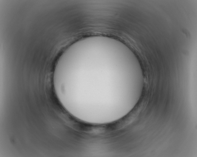 X0000114190462200910091032