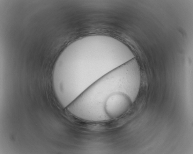 X0000114190465200910091032