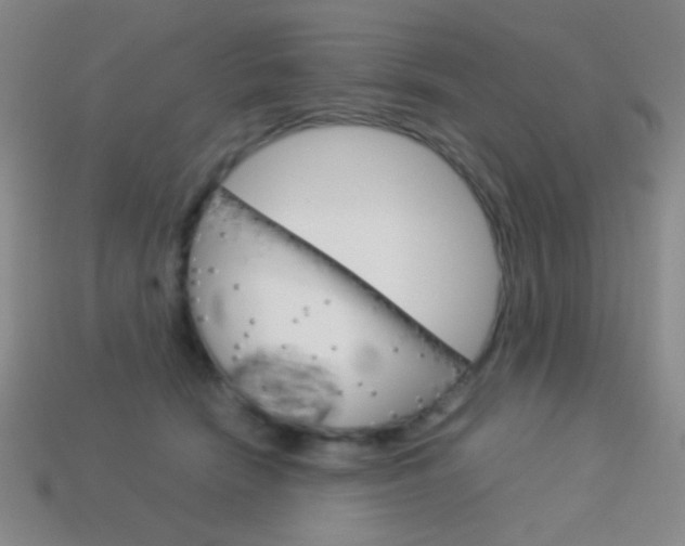 X0000114190466200910091032