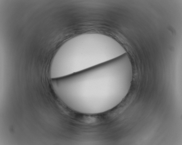 X0000114190469200910091032