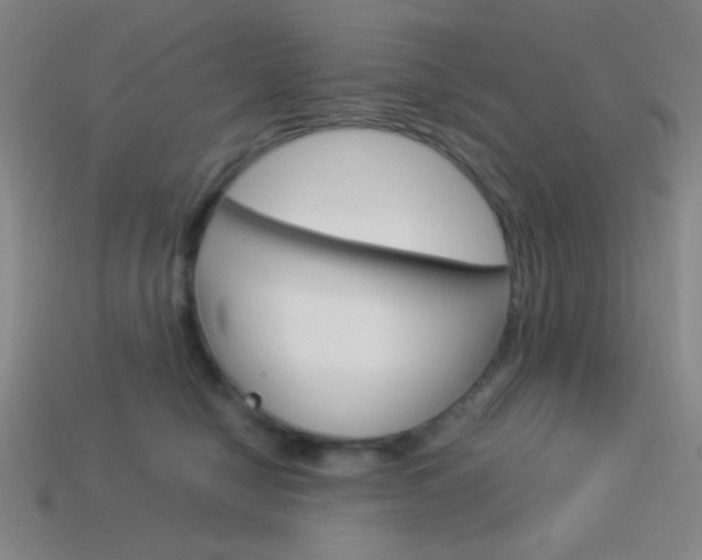 X0000114190470200910091032
