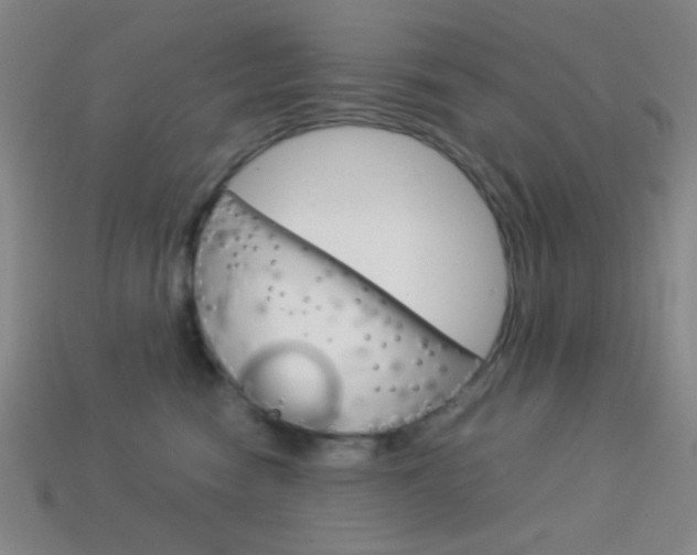 X0000114190474200910091032