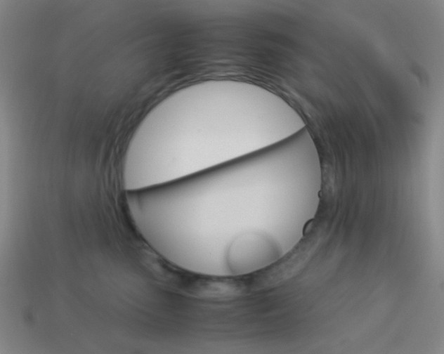 X0000114190475200910091032