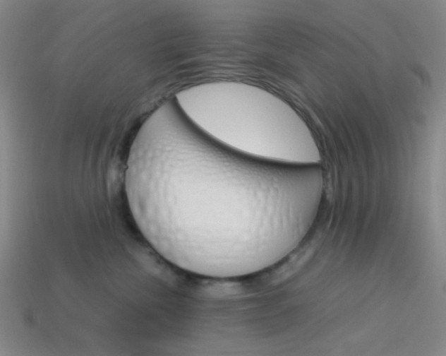 X0000114190476200910091032