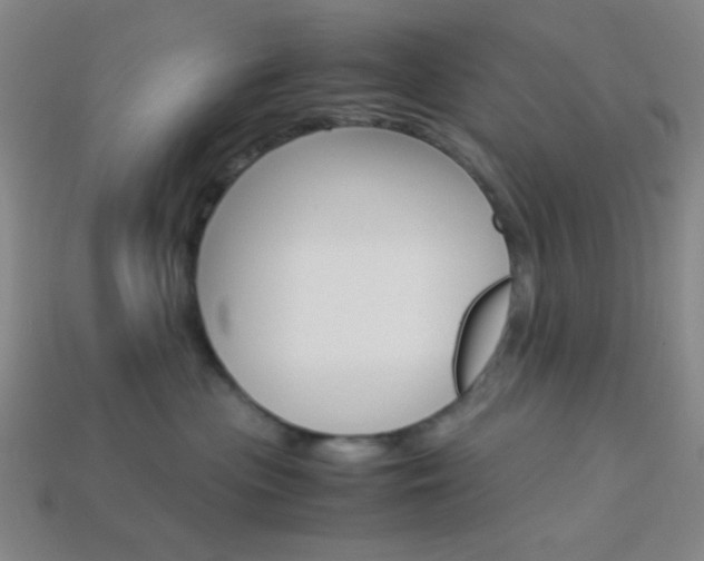 X0000114190477200910091032