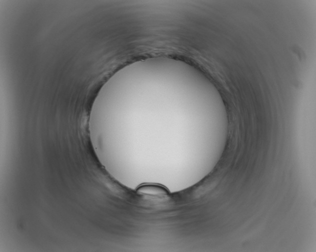 X0000114190480200910091032