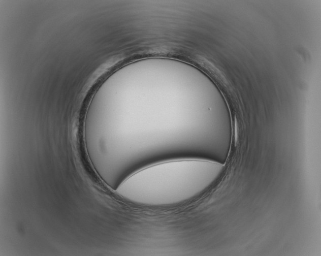 X0000114190483200910091031