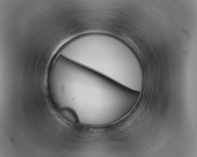 X0000114190484200910091031