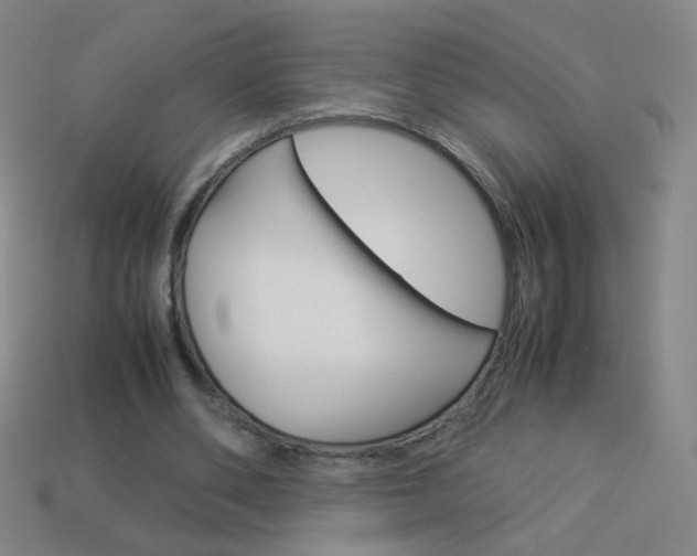 X0000114190486200910091031