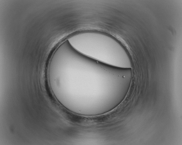 X0000114190487200910091031