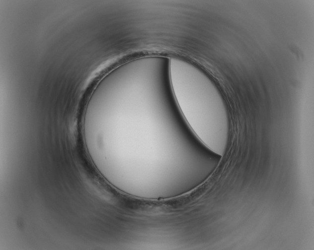 X0000114190488200910091031