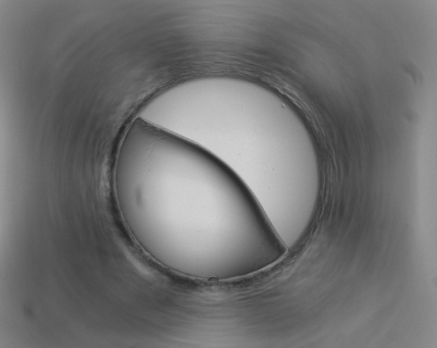 X0000114190489200910091031