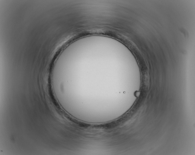 X0000114190491200910091031