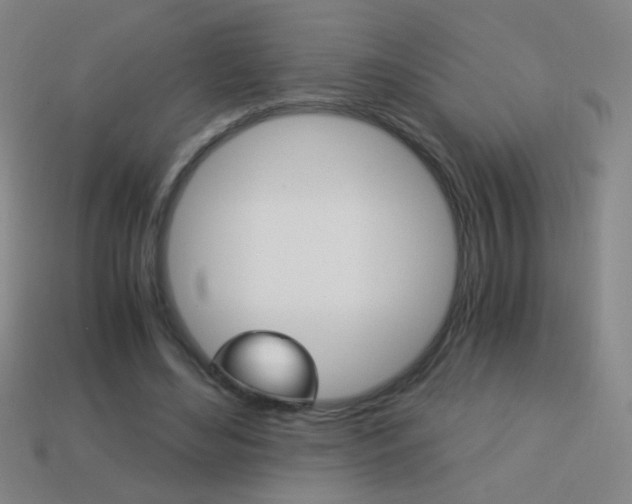 X0000114190492200910091031