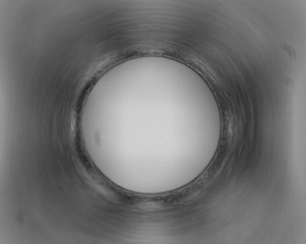 X0000114190494200910091031