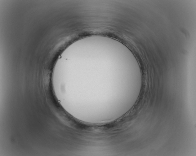 X0000114190495200910091031